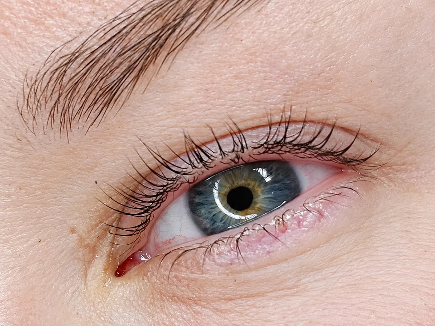 Ergebnis eines Wimpernliftings: geliftete Wimpern am offenen Auge